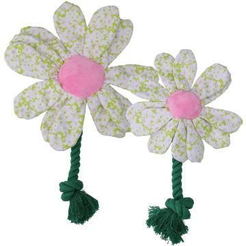 Garden Paws Flower Spring Sakura