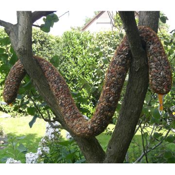 GEVO Riesenfutterschlauch, befüllt, 2600ml, 130cm lang