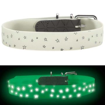 Hunter Halsband Conven. Refl. Glow, Stern