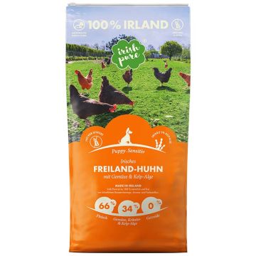 Irish Pure Irisches Freiland-Huhn Puppy