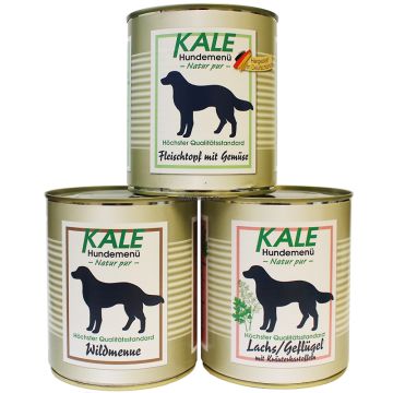 Kale Dosen Sparpaket 800g