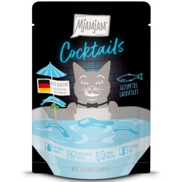 MjAMjAM Cocktails Gezupftes Lachsfilet 40g