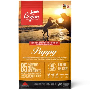 Orijen Dog Puppy