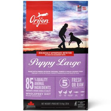 Orijen Dog Puppy Large