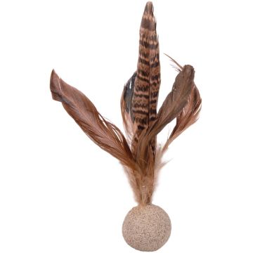 Petlando Earthcat Silvervine Federball Fasan