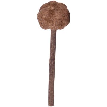 Petlando Earthcat Silvervine Lolli