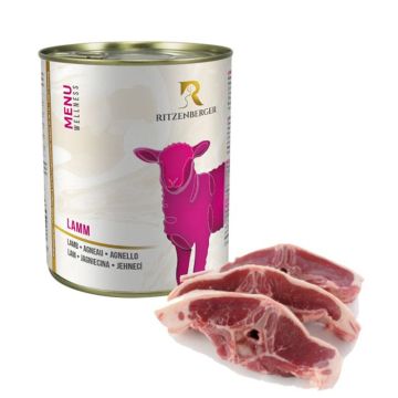 Ritzenberger Lamm, Gurke und Quinoa