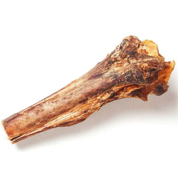 SavannaDog Grosser Schienbeinknochen Strauss 1 St. (450g)