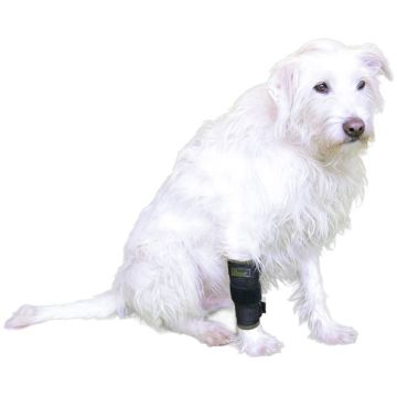 Vetlando Vorderlauf Stützbandage, schwarz