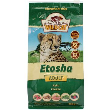 Wildcat Etosha
