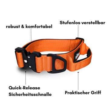 Woofed Nylon Tactical, Halsband, Griff, safety orange