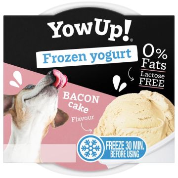 YowUp Frozen Yoghurt Bacon Cake 110g