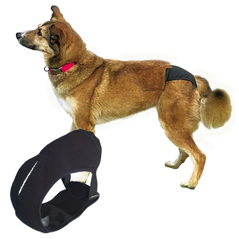 Schutzhöschen Deluxe Gr. XS 20-25 cm, schwarz