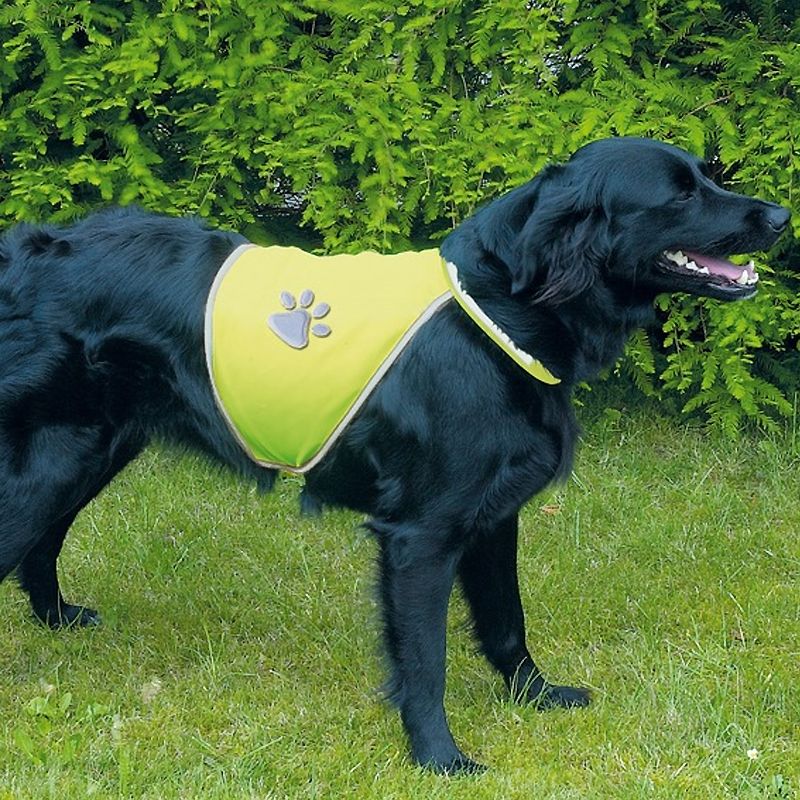 Sicherheitsweste für Hunde, Gr. XS