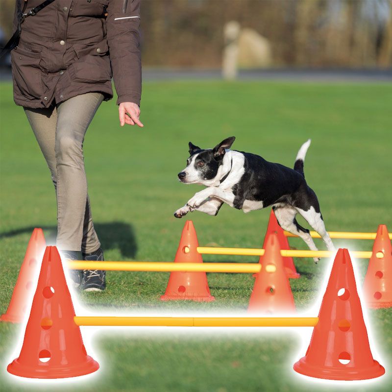 Dog Activity Hindernisse, Kunststoff, 3 St., 23x30cm, 78cm