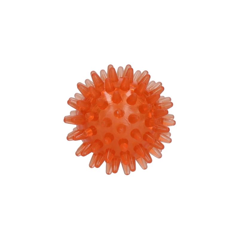 Dog Comets Exoplanet Igelball, Gr. S: 5cm, orange
