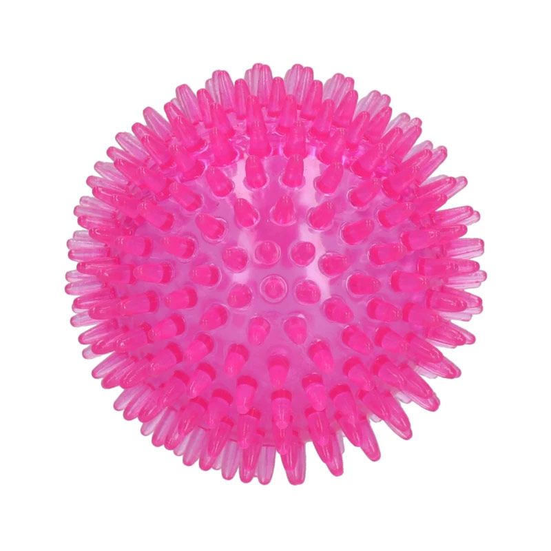 Dog Comets Exoplanet Igelball, Gr. M: 8cm, rosa
