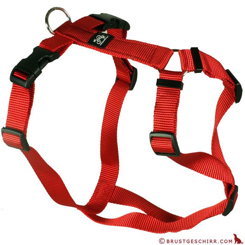 Feltmann Kreuzgeschirr 15mm/35-50cm ROT