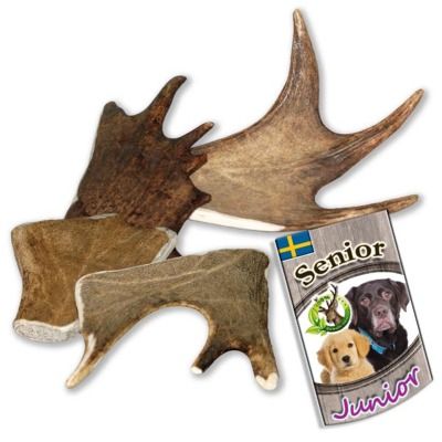 Larsson Snack Elk-Schäufle XS (I)