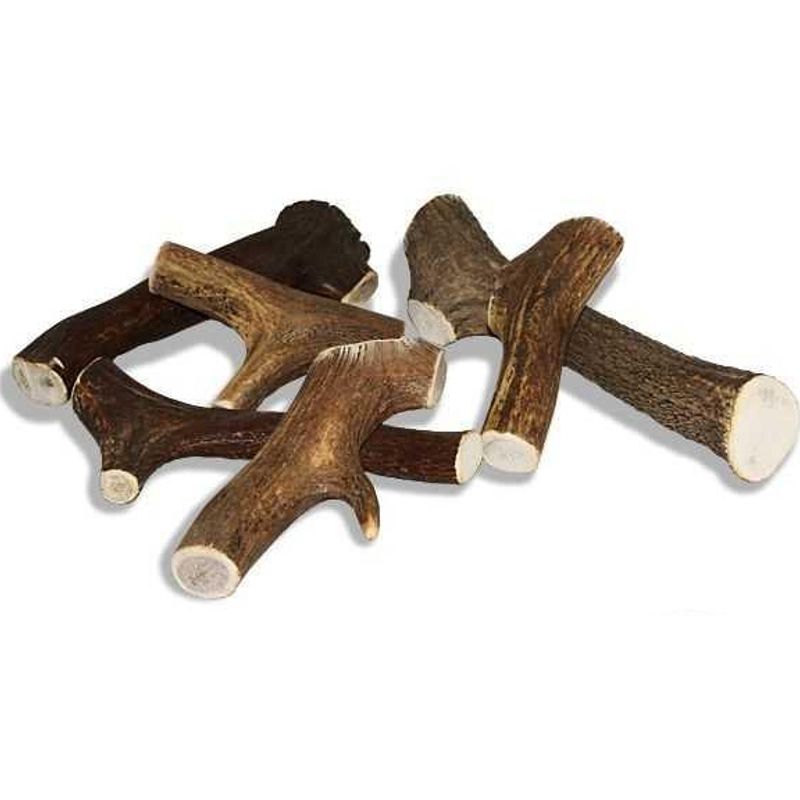 Larsson Snack Antler Full-Chew XS (I)