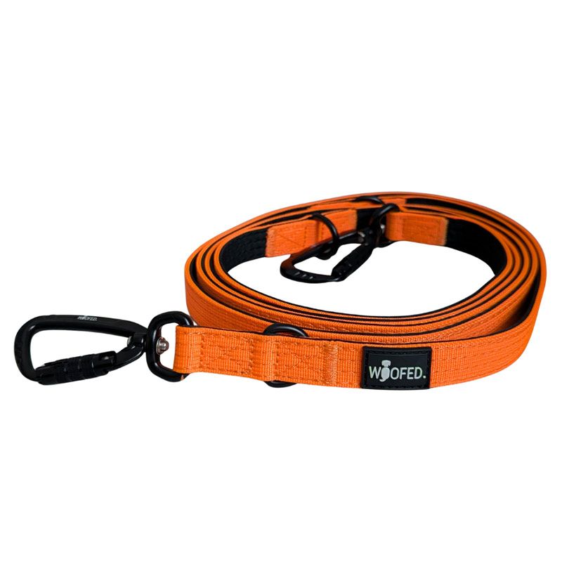 Woofed Nylon Pro Führl.verst, Griff, L:2,5m safety orange