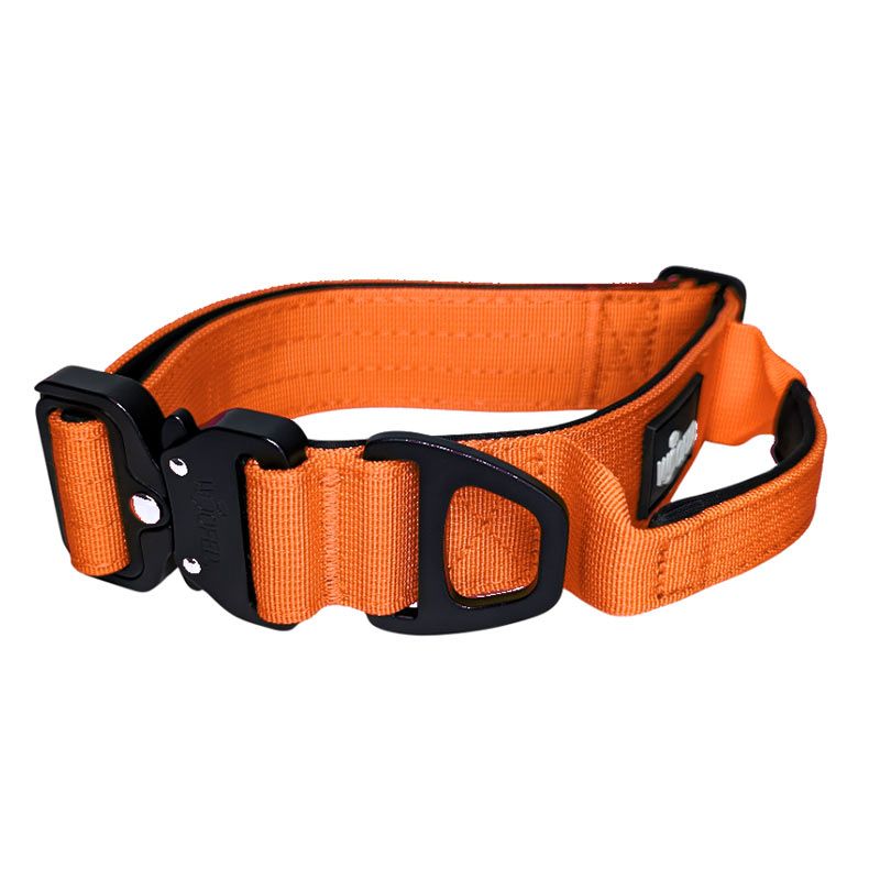 Woofed Nylon Tactical,Halsb.,Griff,Gr.M 4 cm, safety orange