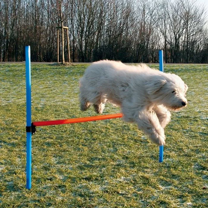 Dog Activity Agility Hürde, 123x115x3 cm, blau/orange Dog Activity Agility Hürde, 123x115x3 cm, blau/orange