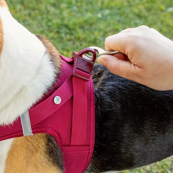 Curli Geschirr Vest Air-Mesh Clasp, Ruby