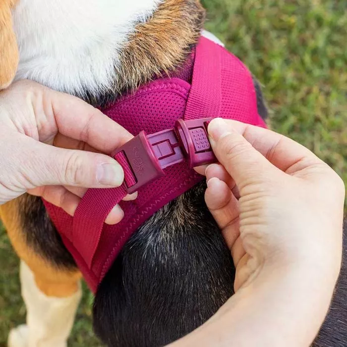 Curli Geschirr Vest Air-Mesh Clasp, Ruby