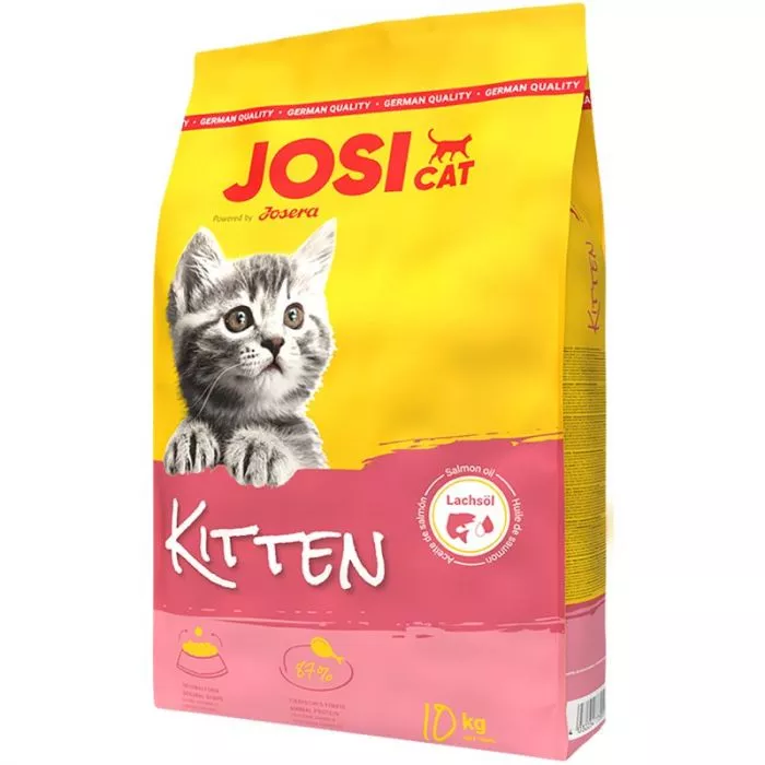 JosiCat Kitten