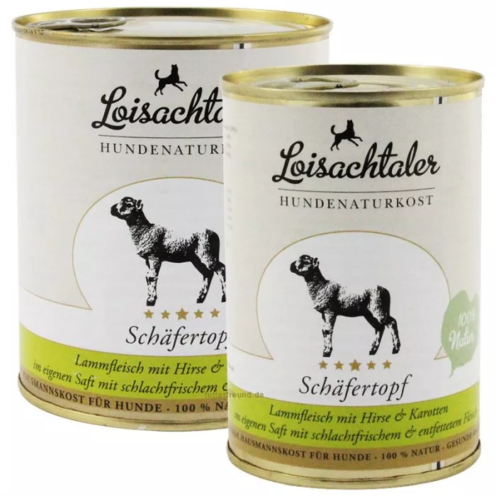 katzentoilette design Hoopo - ein nachhaltiges Katzenklo mit bestechendem Design