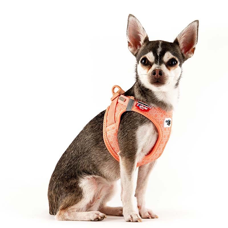 Curli Geschirr Vest Air-Mesh Clasp, Gr. XXS, coral