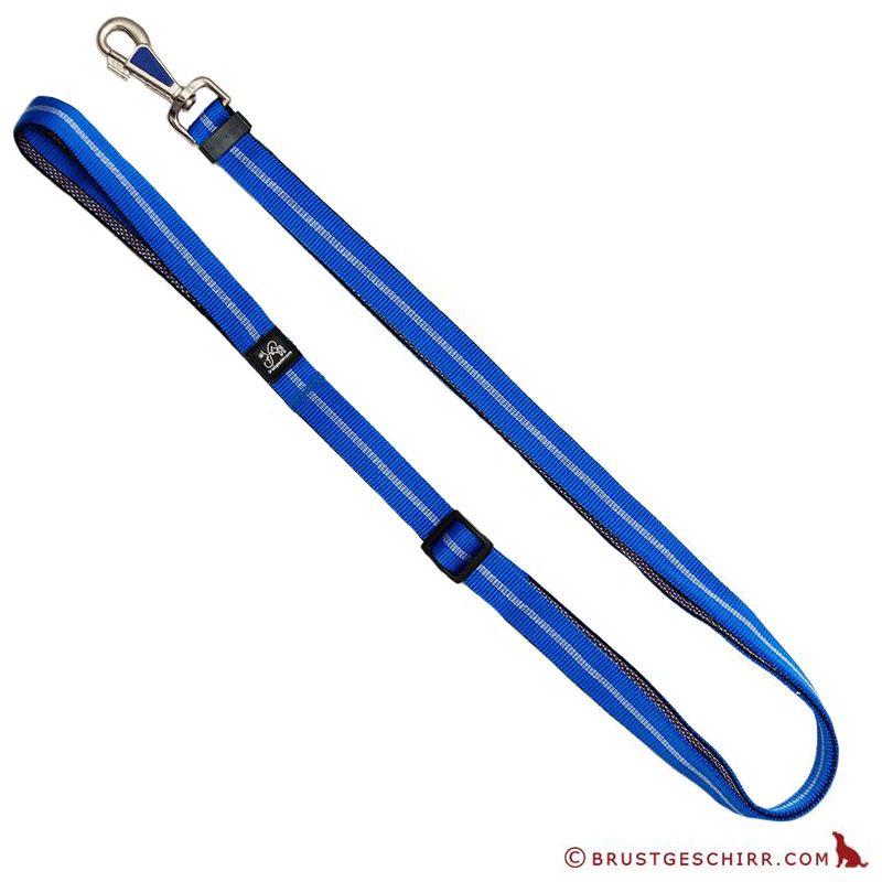 Kombileine Softband 25mm/100-200cm BLAU Streifen
