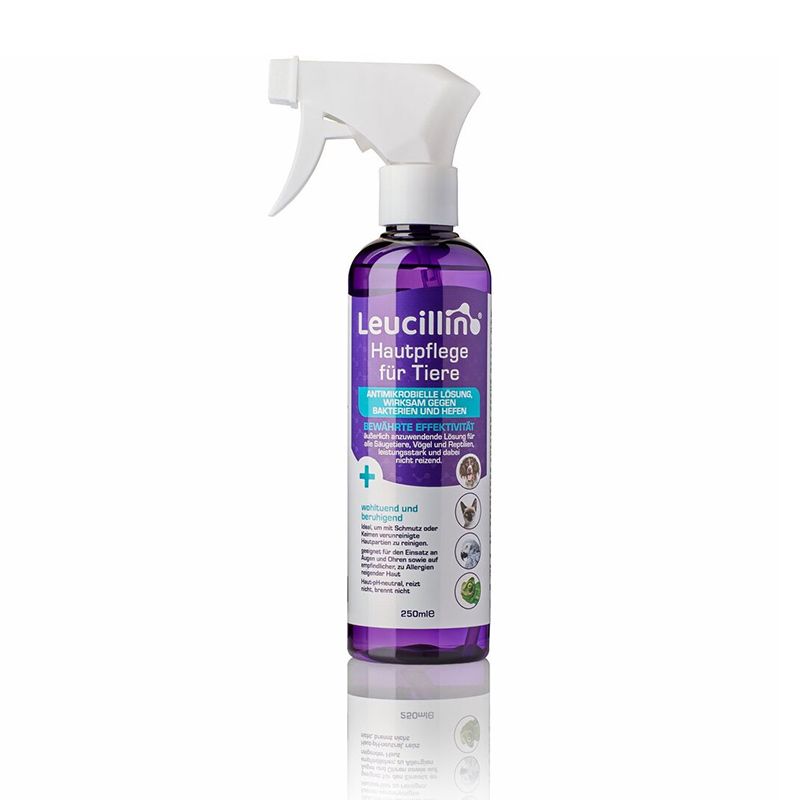 Leucillin Antiseptische Hautpflege Spray 250 ml