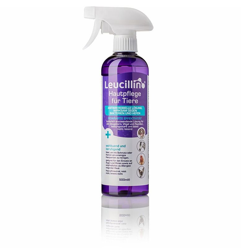 Leucillin Antiseptische Hautpflege Spray 500 ml