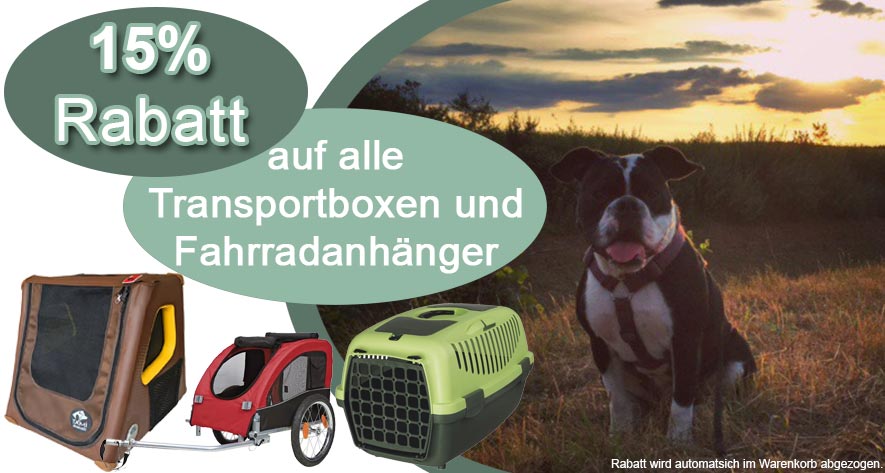 15 Prozent auf alle Transportboxen und Fahrradanhänger. Bulldogge im Sonnenuntergang mit passenden Produkten.