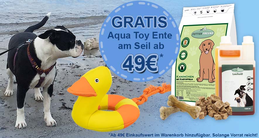Ab 49 Euro Einkaufswert der Marke Futterfreund - Hundespielzeug Aqua Toy Ente im Warenkorb hinzufügbar.