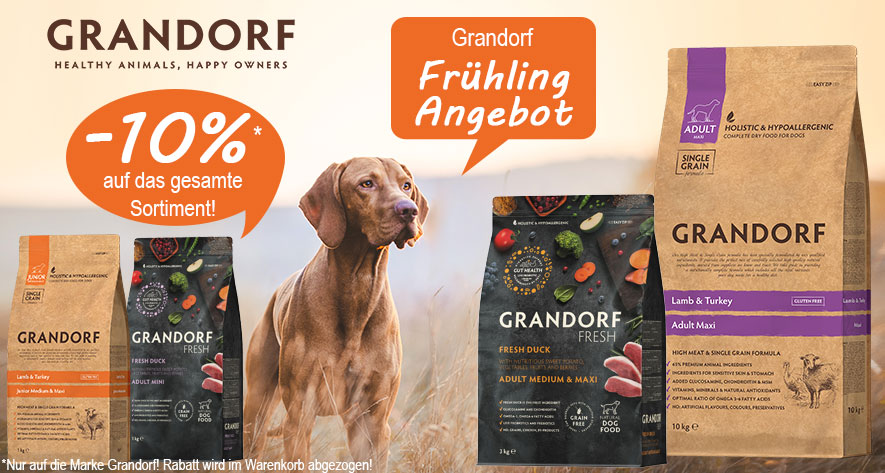 Grandorf Frühling Angebot. 10% Rabatt auf das gesamte Grandorf Sortiment. Brauner Hund mit Blickrichtung zu den Trockenfutterbeuteln von Grandorf.