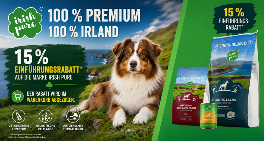 Irish Pure 15% Einführungsrabatt. Hund vor irischer Landschaft.