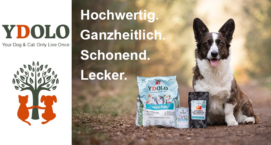 Hund sitzend mit YDOLO Hundefutter.