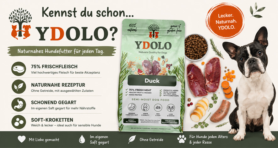 Kennst du schon YDOLO naturnahes Hundefutter? Ydolo Duck mit Zutaten und Boston Terrier.