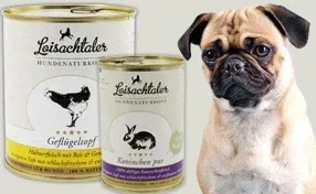 Kopf und Oberkörper eines Mops neben Naturkostprodukten