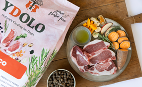 YDOLO Premium Softfutter