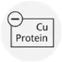 Reduzierter Protein- und Kupfergehalt