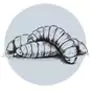 Insekten