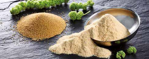 grainfree-belcando-1