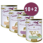 terra-canis-tv-angebot-senior