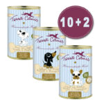 terra-canis-tv-angebot-welpen