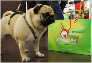 GranataPet-piggy-gr300