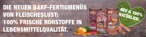 Half Banner 234 x 60
